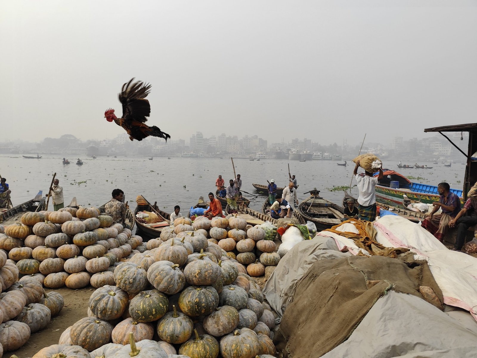 OPPO Photography Contest entry